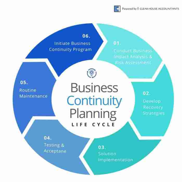 Continuity business plan planning cycle life phases create small five why advice need developed shown below