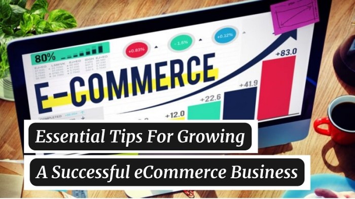 Ecommerce growth tips beluga software aleksandra