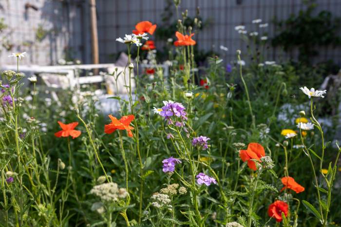 Garden design with industrial accents