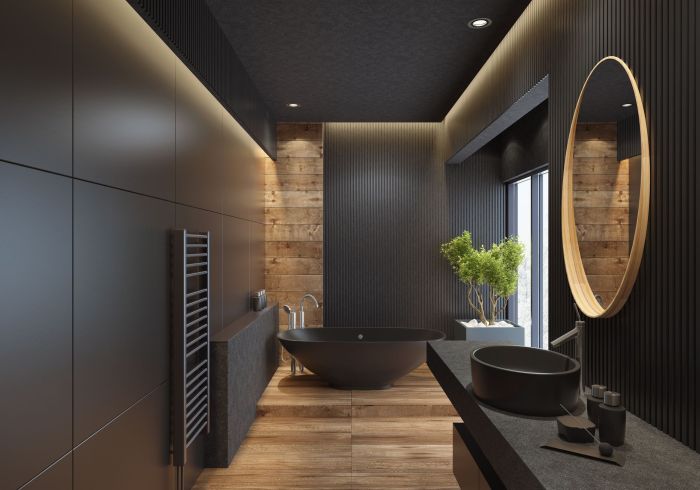 Scandinavian bathrooms style bathroom black luxury